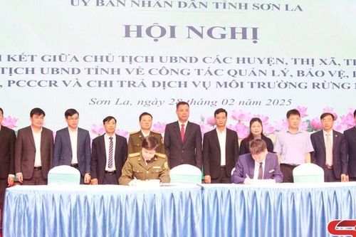 Ký cam kết thực hiện công tác quản lý, bảo vệ phát triển rừng, PCCCR và chi trả dịch vụ môi trường rừng năm 2025