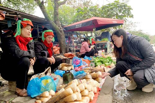 Mùa măng đắng