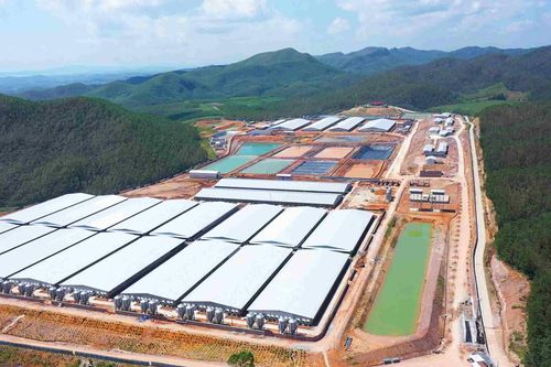 BaF Việt Nam (BAF) kỳ vọng doanh thu quý 1 trên nghìn tỷ đồng, mạnh tay mở rộng hệ sinh thái