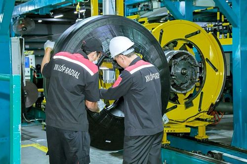 Tiêu thụ lốp Radial tăng tốc, dự báo lợi nhuận của Cao su Đà Nẵng (DRC) tăng 24%
