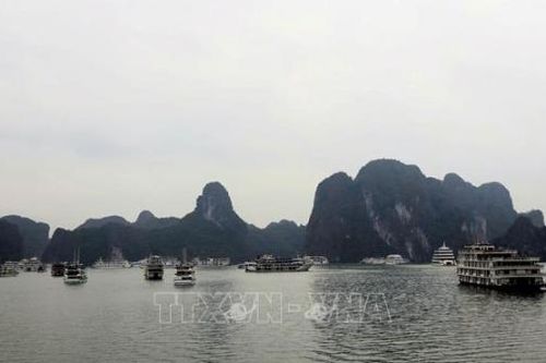 Bổ sung thu phí các hành trình tham quan trên vịnh Hạ Long