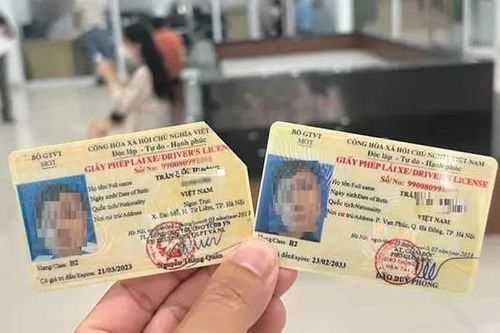 Sở GTVT dừng tiếp nhận cấp, đổi giấy phép lái xe