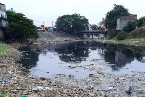 Sông Đáy ô nhiễm trầm trọng