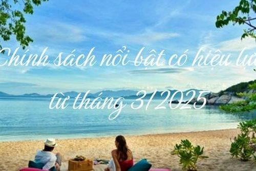 Các chính sách nổi bật có hiệu lực từ tháng 3/2025