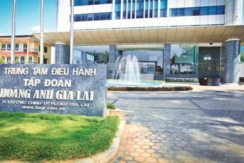 Hoàng Anh Gia Lai (HAG) hoàn tất giải thể công ty trong lĩnh vực trồng trọt và chăn nuôi