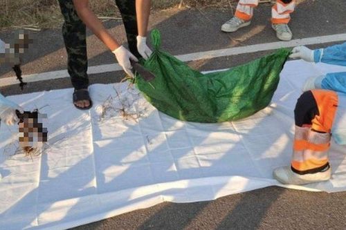 Phát hiện thi thể nữ sinh trong bao tải ven đường: Hé lộ manh mối điều tra