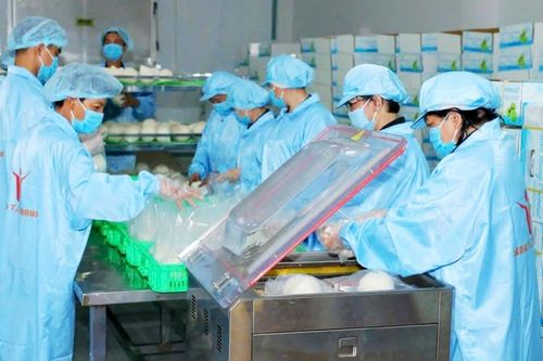 Bảo đảm các quy định an toàn thực phẩm xuất khẩu