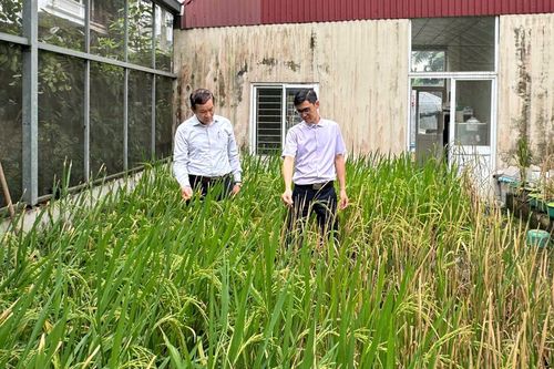 Bảo tồn và khai thác các nguồn gien quý hiếm