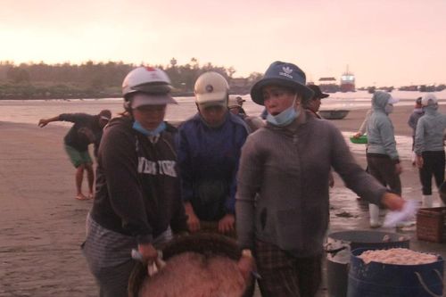 Ruốc khan hiếm, các thương lái tranh nhau gom hàng