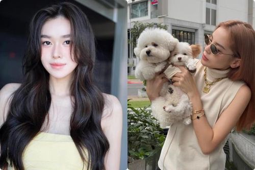 Tường San khoe mặt mộc, Kỳ Duyên chụp ảnh cùng cún cưng