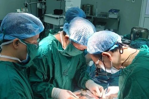 Thị trường lao động 2025: Cơ hội song hành cùng thách thức