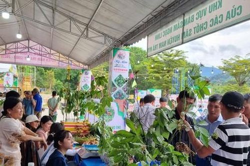 Hình thành trung tâm công nghiệp và dược liệu tại Quảng Nam