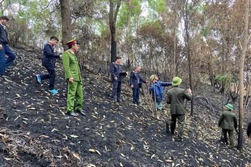 VKSND thị xã Việt Yên kiểm sát khám nghiệm hiện trường vụ cháy rừng