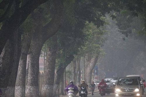 Dự báo thời tiết Thanh Hóa, Hà Tĩnh ngày 1/3: Nhiều mây, sáng có sương mù, ngày nắng