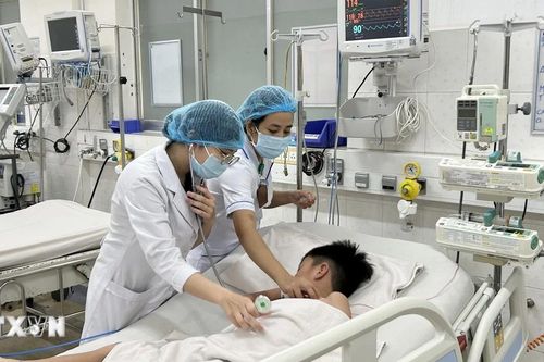 Thành phố Hồ Chí Minh: Cảnh báo trẻ sốc sốt xuất huyết nặng dù chưa vào mùa dịch