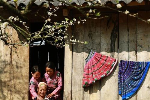 'Công nghệ từ trái tim': Vẽ lên bức tranh đất nước trong kỷ nguyên mới
