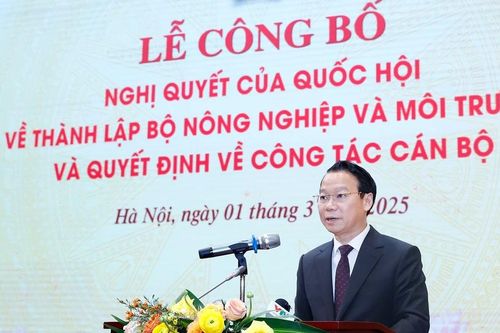 Thành lập Bộ Nông nghiệp và Môi trường: 22 Cục trưởng, Vụ trưởng xuống cấp phó