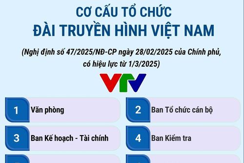 Cơ cấu tổ chức của Đài Truyền hình Việt Nam