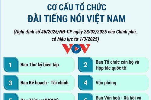 Cơ cấu tổ chức của Đài Tiếng nói Việt Nam