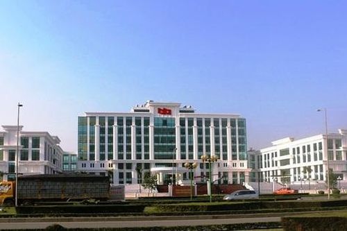 Vụ bắt 7 đối tượng thu tiền 'bảo kê' bán đào Tết: Tp.Thanh Hóa phản hồi CQĐT