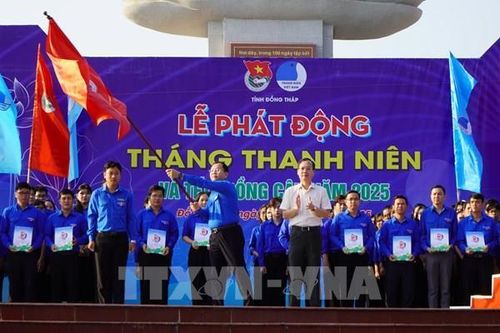 Hơn 600 hoạt động tình nguyện sẽ được triển khai tại Đồng Tháp