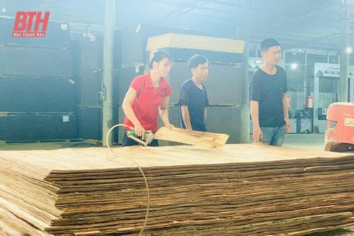 Thực hiện tốt các chương trình cho vay ưu đãi trong lĩnh vực nông nghiệp, nông thôn