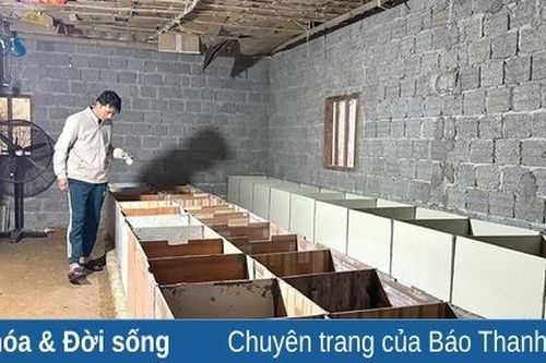 Chuyện con dúi ở xã vùng biên Bát Mọt