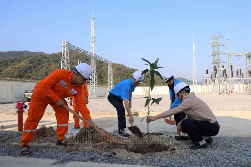 Công ty Điện lực Điện Biên tổ chức Tết trồng cây