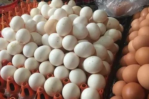 Giá trứng gà thấp kỷ lục, người mua vẫn thờ ơ
