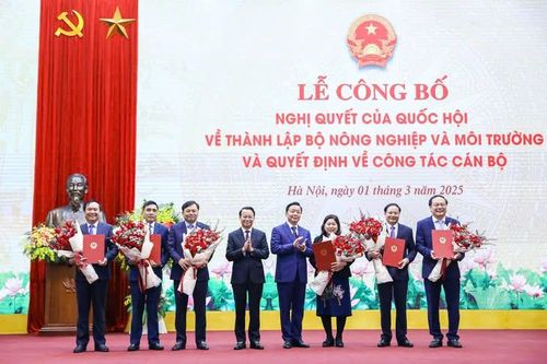 Bộ Nông nghiệp và Môi trường bổ nhiệm hàng loạt lãnh đạo Cục, Vụ