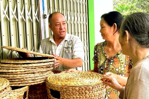 'Hóa kiếp' lục bình