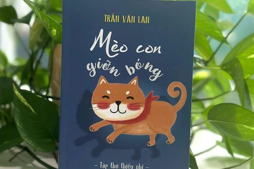 Mèo con giỡn bóng - Món quà dành cho trẻ nhỏ