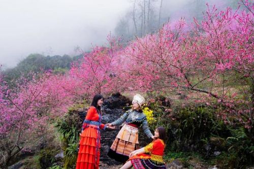 Đến Hà Giang tháng 3 ngắm hoa đào nở muộn