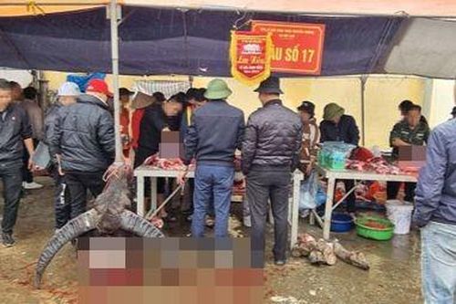 Hướng đi nào cho lễ hội có sử dụng động vật ở Việt Nam?