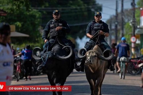 Cảnh sát cưỡi trâu đi tuần
