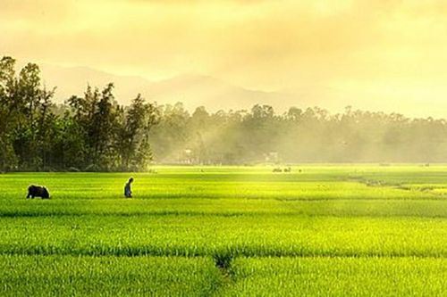 Thời tiết Thanh Hóa, Hà Tĩnh ngày 2/3: Trưa, chiều trời nắng