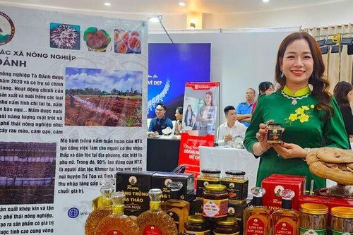 Nâng cao chất lượng và hiệu quả hoạt động 5 hợp tác xã, 66 tổ hợp tác do phụ nữ quản lý