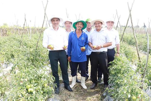 Huyện Cao Lãnh chú trọng đầu tư các công trình, dự án phục vụ cơ cấu lại ngành nông nghiệp