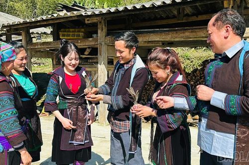 Sức sống mới ở Bản Giàng