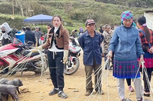 Độc đáo chợ lợn trên đất 'rồng hoa'