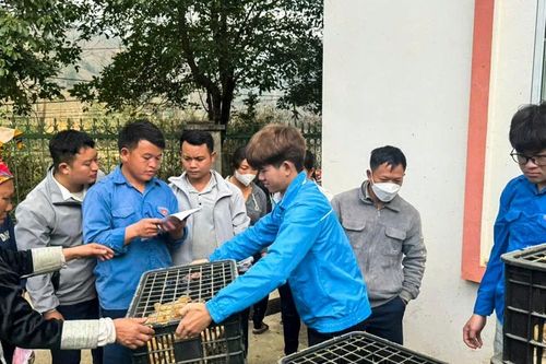 Ban Thanh Niên Quân đội tổ chức chương trình 'Sống sau lũ' tại Bát Xát