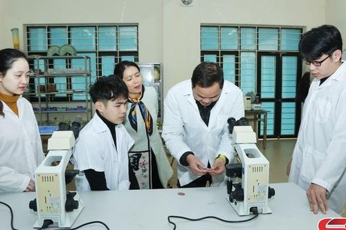 Khoa học công nghệ và đổi mới sáng tạo