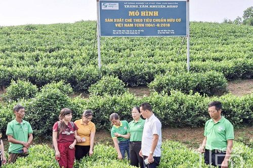 Sản xuất hữu cơ để tạo ra sản phẩm sạch hơn