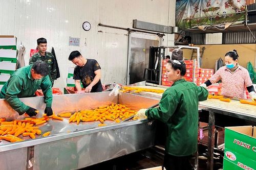 Hải Dương: Đẩy mạnh liên kết trong sản xuất, tiêu thụ nông sản để phát triển nông nghiệp bền vững