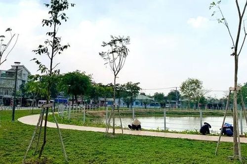 Không gian xanh 'hồi sinh' từ đất công bỏ hoang