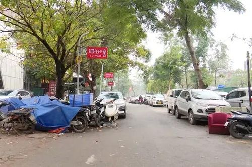 Những vi phạm làm xấu Công viên Tuổi trẻ