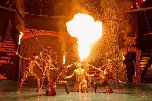 Dấu ấn của nghệ thuật xiếc tại TP Hồ Chí Minh