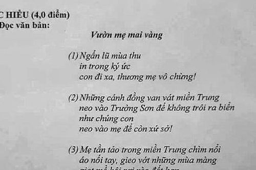 Đề khảo sát Ngữ văn 12 bàn về sự khởi nghiệp của tuổi trẻ
