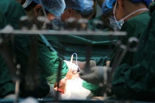 Bộ Y tế: Tăng cường chăm sóc sức khỏe, phòng chống bệnh nghề nghiệp cho nhân viên trong ngành