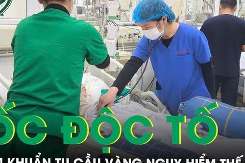 Nhiễm khuẩn tụ cầu vàng chỉ từ vết xước nhỏ khiến bệnh nhân đối diện tử thần